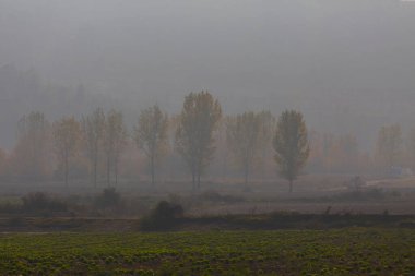 Bursa Lipsli Köyü ve Cinarli Yolu. Bursa, tarihi zenginliklerin ve doğal güzelliklerin her köşede keşfedilmeyi beklediği bir şehirdir..