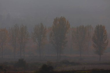 Bursa Lipsli Köyü ve Cinarli Yolu. Bursa, tarihi zenginliklerin ve doğal güzelliklerin her köşede keşfedilmeyi beklediği bir şehirdir..