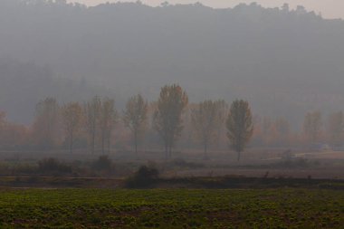 Bursa Lipsli Köyü ve Cinarli Yolu. Bursa, tarihi zenginliklerin ve doğal güzelliklerin her köşede keşfedilmeyi beklediği bir şehirdir..