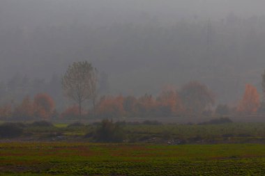 Bursa Lipsli Köyü ve Cinarli Yolu. Bursa, tarihi zenginliklerin ve doğal güzelliklerin her köşede keşfedilmeyi beklediği bir şehirdir..