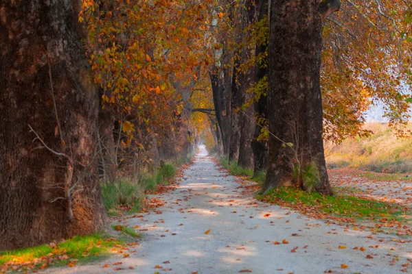 Bursa Lipsli Village Und Cinarli Road Bursa Ist Die Stadt — Stockfoto