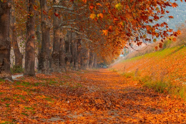 Bursa Lipsli Village Und Cinarli Road Bursa Ist Die Stadt — Stockfoto