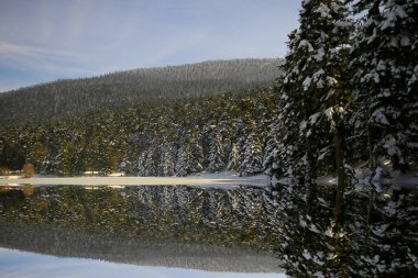 Kış Golcuk Milli Parkı Bolu Türkiye