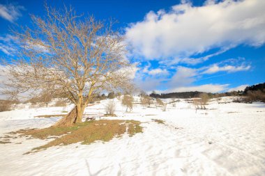 Türkiye Bilecik 'te Bozcaarmut Gölü, güneşli bir sabah erken saatlerde