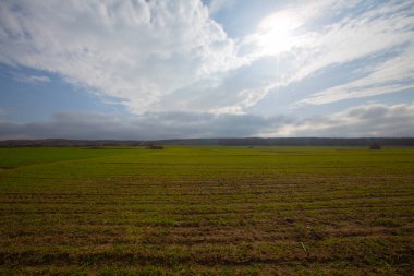 Kyky, Krklareli ilinin sınırları içinde bulunan ve doğal güzellikleriyle göze çarpan Vize ilçesine bağlı bir sahil kasabasıdır..