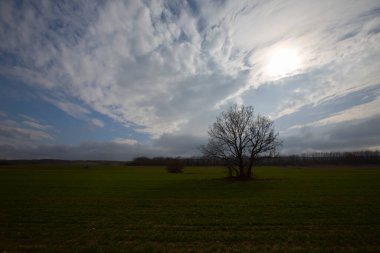 Kyky, Krklareli ilinin sınırları içinde bulunan ve doğal güzellikleriyle göze çarpan Vize ilçesine bağlı bir sahil kasabasıdır..
