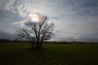 Kyky, Krklareli ilinin sınırları içinde bulunan ve doğal güzellikleriyle göze çarpan Vize ilçesine bağlı bir sahil kasabasıdır..