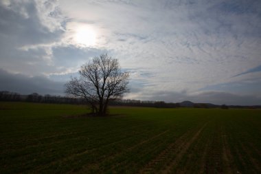 Kyky, Krklareli ilinin sınırları içinde bulunan ve doğal güzellikleriyle göze çarpan Vize ilçesine bağlı bir sahil kasabasıdır..