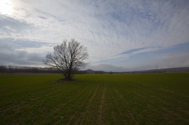 Kyky, Krklareli ilinin sınırları içinde bulunan ve doğal güzellikleriyle göze çarpan Vize ilçesine bağlı bir sahil kasabasıdır..