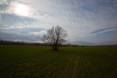Kyky, Krklareli ilinin sınırları içinde bulunan ve doğal güzellikleriyle göze çarpan Vize ilçesine bağlı bir sahil kasabasıdır..