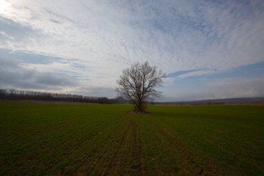 Kyky, Krklareli ilinin sınırları içinde bulunan ve doğal güzellikleriyle göze çarpan Vize ilçesine bağlı bir sahil kasabasıdır..