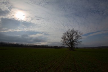 Kyky, Krklareli ilinin sınırları içinde bulunan ve doğal güzellikleriyle göze çarpan Vize ilçesine bağlı bir sahil kasabasıdır..