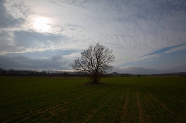 Kyky, Krklareli ilinin sınırları içinde bulunan ve doğal güzellikleriyle göze çarpan Vize ilçesine bağlı bir sahil kasabasıdır..