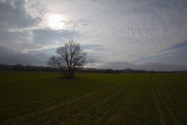 Kyky, Krklareli ilinin sınırları içinde bulunan ve doğal güzellikleriyle göze çarpan Vize ilçesine bağlı bir sahil kasabasıdır..