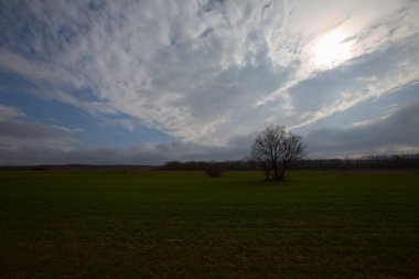 Kyky, Krklareli ilinin sınırları içinde bulunan ve doğal güzellikleriyle göze çarpan Vize ilçesine bağlı bir sahil kasabasıdır..