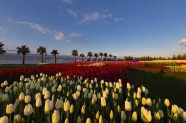 Seka Park, 1934 yılında açılan ve 2005 yılına kadar işletilen SEKA kağıt fabrikasının kapatılmasıyla gerçekleştirilen bir park planıdır ve arazi Kocaeli Büyükşehir Belediyesi 'ne devredilmiştir. Türkiye 'nin en büyük şehir parklarından biridir..