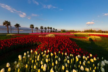 Seka Park, 1934 yılında açılan ve 2005 yılına kadar işletilen SEKA kağıt fabrikasının kapatılmasıyla gerçekleştirilen bir park planıdır ve arazi Kocaeli Büyükşehir Belediyesi 'ne devredilmiştir. Türkiye 'nin en büyük şehir parklarından biridir..