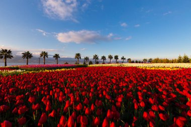 Seka Park, 1934 yılında açılan ve 2005 yılına kadar işletilen SEKA kağıt fabrikasının kapatılmasıyla gerçekleştirilen bir park planıdır ve arazi Kocaeli Büyükşehir Belediyesi 'ne devredilmiştir. Türkiye 'nin en büyük şehir parklarından biridir..
