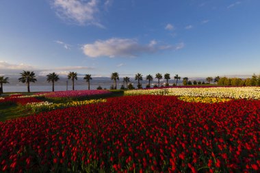 Seka Park, 1934 yılında açılan ve 2005 yılına kadar işletilen SEKA kağıt fabrikasının kapatılmasıyla gerçekleştirilen bir park planıdır ve arazi Kocaeli Büyükşehir Belediyesi 'ne devredilmiştir. Türkiye 'nin en büyük şehir parklarından biridir..