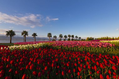 Seka Park, 1934 yılında açılan ve 2005 yılına kadar işletilen SEKA kağıt fabrikasının kapatılmasıyla gerçekleştirilen bir park planıdır ve arazi Kocaeli Büyükşehir Belediyesi 'ne devredilmiştir. Türkiye 'nin en büyük şehir parklarından biridir..