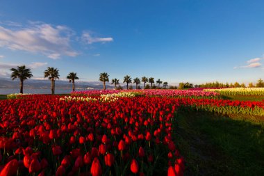 Seka Park, 1934 yılında açılan ve 2005 yılına kadar işletilen SEKA kağıt fabrikasının kapatılmasıyla gerçekleştirilen bir park planıdır ve arazi Kocaeli Büyükşehir Belediyesi 'ne devredilmiştir. Türkiye 'nin en büyük şehir parklarından biridir..