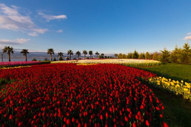 Seka Park, 1934 yılında açılan ve 2005 yılına kadar işletilen SEKA kağıt fabrikasının kapatılmasıyla gerçekleştirilen bir park planıdır ve arazi Kocaeli Büyükşehir Belediyesi 'ne devredilmiştir. Türkiye 'nin en büyük şehir parklarından biridir..