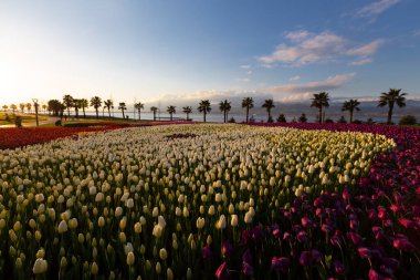 Seka Park, 1934 yılında açılan ve 2005 yılına kadar işletilen SEKA kağıt fabrikasının kapatılmasıyla gerçekleştirilen bir park planıdır ve arazi Kocaeli Büyükşehir Belediyesi 'ne devredilmiştir. Türkiye 'nin en büyük şehir parklarından biridir..