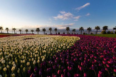 Seka Park, 1934 yılında açılan ve 2005 yılına kadar işletilen SEKA kağıt fabrikasının kapatılmasıyla gerçekleştirilen bir park planıdır ve arazi Kocaeli Büyükşehir Belediyesi 'ne devredilmiştir. Türkiye 'nin en büyük şehir parklarından biridir..