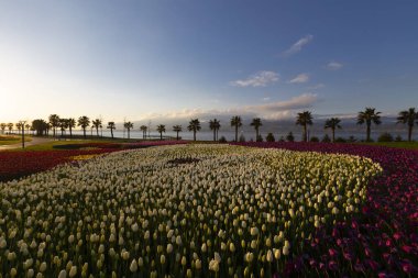 Seka Park, 1934 yılında açılan ve 2005 yılına kadar işletilen SEKA kağıt fabrikasının kapatılmasıyla gerçekleştirilen bir park planıdır ve arazi Kocaeli Büyükşehir Belediyesi 'ne devredilmiştir. Türkiye 'nin en büyük şehir parklarından biridir..