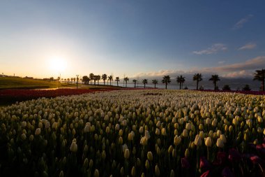 Seka Park, 1934 yılında açılan ve 2005 yılına kadar işletilen SEKA kağıt fabrikasının kapatılmasıyla gerçekleştirilen bir park planıdır ve arazi Kocaeli Büyükşehir Belediyesi 'ne devredilmiştir. Türkiye 'nin en büyük şehir parklarından biridir..