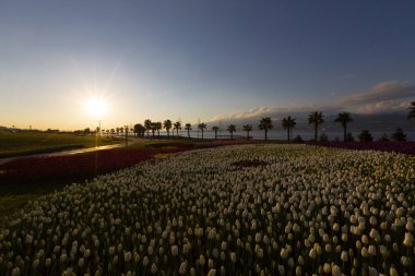 Seka Park, 1934 yılında açılan ve 2005 yılına kadar işletilen SEKA kağıt fabrikasının kapatılmasıyla gerçekleştirilen bir park planıdır ve arazi Kocaeli Büyükşehir Belediyesi 'ne devredilmiştir. Türkiye 'nin en büyük şehir parklarından biridir..