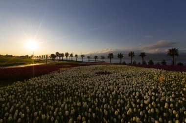 Seka Park, 1934 yılında açılan ve 2005 yılına kadar işletilen SEKA kağıt fabrikasının kapatılmasıyla gerçekleştirilen bir park planıdır ve arazi Kocaeli Büyükşehir Belediyesi 'ne devredilmiştir. Türkiye 'nin en büyük şehir parklarından biridir..