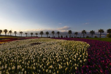 Seka Park, 1934 yılında açılan ve 2005 yılına kadar işletilen SEKA kağıt fabrikasının kapatılmasıyla gerçekleştirilen bir park planıdır ve arazi Kocaeli Büyükşehir Belediyesi 'ne devredilmiştir. Türkiye 'nin en büyük şehir parklarından biridir..
