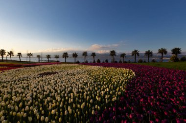 Seka Park, 1934 yılında açılan ve 2005 yılına kadar işletilen SEKA kağıt fabrikasının kapatılmasıyla gerçekleştirilen bir park planıdır ve arazi Kocaeli Büyükşehir Belediyesi 'ne devredilmiştir. Türkiye 'nin en büyük şehir parklarından biridir..