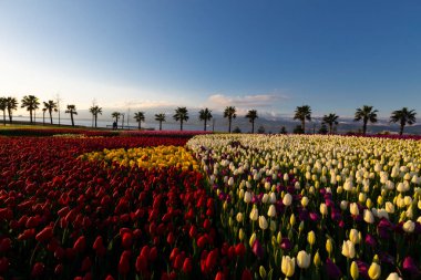 Seka Park, 1934 yılında açılan ve 2005 yılına kadar işletilen SEKA kağıt fabrikasının kapatılmasıyla gerçekleştirilen bir park planıdır ve arazi Kocaeli Büyükşehir Belediyesi 'ne devredilmiştir. Türkiye 'nin en büyük şehir parklarından biridir..