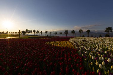 Seka Park, 1934 yılında açılan ve 2005 yılına kadar işletilen SEKA kağıt fabrikasının kapatılmasıyla gerçekleştirilen bir park planıdır ve arazi Kocaeli Büyükşehir Belediyesi 'ne devredilmiştir. Türkiye 'nin en büyük şehir parklarından biridir..