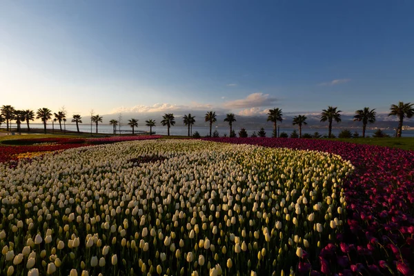 Seka Park, 1934 yılında açılan ve 2005 yılına kadar işletilen SEKA kağıt fabrikasının kapatılmasıyla gerçekleştirilen bir park planıdır ve arazi Kocaeli Büyükşehir Belediyesi 'ne devredilmiştir. Türkiye 'nin en büyük şehir parklarından biridir..