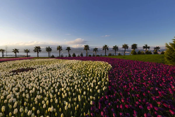 Seka Park, 1934 yılında açılan ve 2005 yılına kadar işletilen SEKA kağıt fabrikasının kapatılmasıyla gerçekleştirilen bir park planıdır ve arazi Kocaeli Büyükşehir Belediyesi 'ne devredilmiştir. Türkiye 'nin en büyük şehir parklarından biridir..