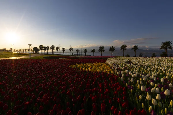 Seka Park, 1934 yılında açılan ve 2005 yılına kadar işletilen SEKA kağıt fabrikasının kapatılmasıyla gerçekleştirilen bir park planıdır ve arazi Kocaeli Büyükşehir Belediyesi 'ne devredilmiştir. Türkiye 'nin en büyük şehir parklarından biridir..