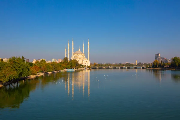 강변에 축물을 가지고 모스크는 있으며 미터의 코끼리의 — 스톡 사진