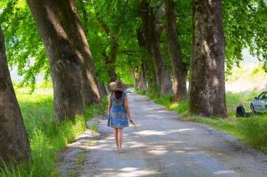 Bursa 'nın oksijen koridoru, Lipli Köyü, Cinarli yolu ve birçok Bursa seyahat makalesi hakkında internet sitemizden bilgi edinebilirsiniz..