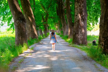 Bursa 'nın oksijen koridoru, Lipli Köyü, Cinarli yolu ve birçok Bursa seyahat makalesi hakkında internet sitemizden bilgi edinebilirsiniz..