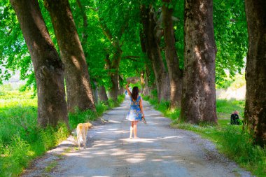 Bursa 'nın oksijen koridoru, Lipli Köyü, Cinarli yolu ve birçok Bursa seyahat makalesi hakkında internet sitemizden bilgi edinebilirsiniz..