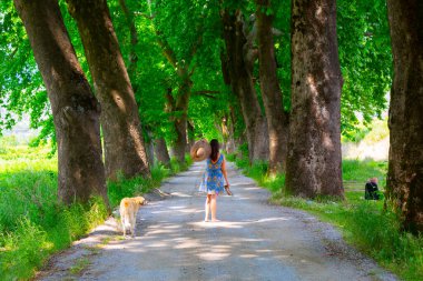 Bursa 'nın oksijen koridoru, Lipli Köyü, Cinarli yolu ve birçok Bursa seyahat makalesi hakkında internet sitemizden bilgi edinebilirsiniz..