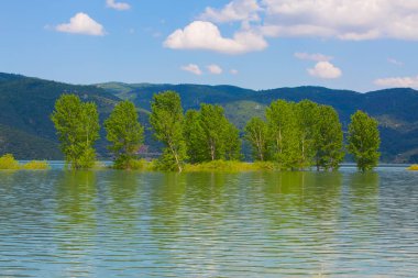Bursa 'nın oksijen koridoru, Lipli Köyü, Cinarli yolu ve birçok Bursa seyahat makalesi hakkında internet sitemizden bilgi edinebilirsiniz..