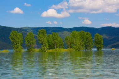 Bursa 'nın oksijen koridoru, Lipli Köyü, Cinarli yolu ve birçok Bursa seyahat makalesi hakkında internet sitemizden bilgi edinebilirsiniz..