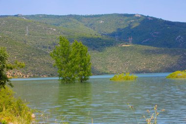 Bursa 'nın oksijen koridoru, Lipli Köyü, Cinarli yolu ve birçok Bursa seyahat makalesi hakkında internet sitemizden bilgi edinebilirsiniz..