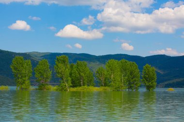 Bursa 'nın oksijen koridoru, Lipli Köyü, Cinarli yolu ve birçok Bursa seyahat makalesi hakkında internet sitemizden bilgi edinebilirsiniz..