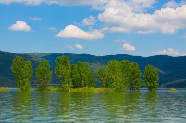 Bursa 'nın oksijen koridoru, Lipli Köyü, Cinarli yolu ve birçok Bursa seyahat makalesi hakkında internet sitemizden bilgi edinebilirsiniz..