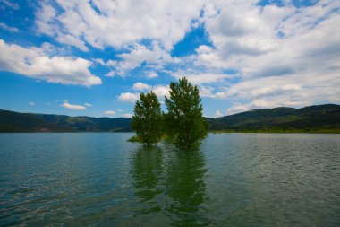 Bursa 'nın oksijen koridoru, Lipli Köyü, Cinarli yolu ve birçok Bursa seyahat makalesi hakkında internet sitemizden bilgi edinebilirsiniz..